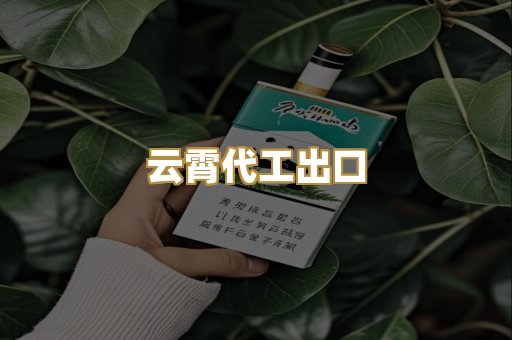 云霄代工出口